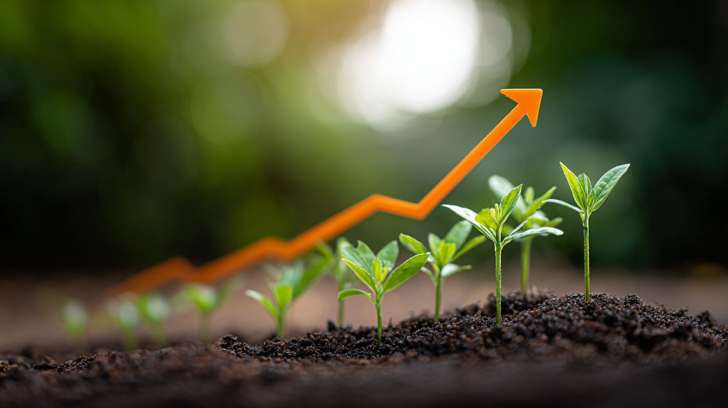 Strategic press release distribution for brand growth